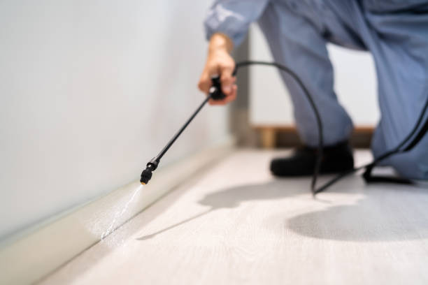 Licensed Pest Control service in Meeker, OK - Show Me Pest Control